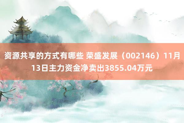 资源共享的方式有哪些 荣盛发展（002146）11月13日主力资金净卖出3855.04万元