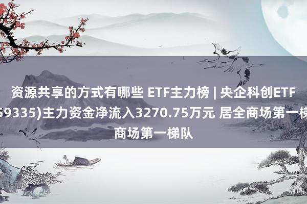 资源共享的方式有哪些 ETF主力榜 | 央企科创ETF(159335)主力资金净流入3270.75万元 居全商场第一梯队