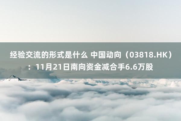 经验交流的形式是什么 中国动向（03818.HK）：11月21日南向资金减合手6.6万股