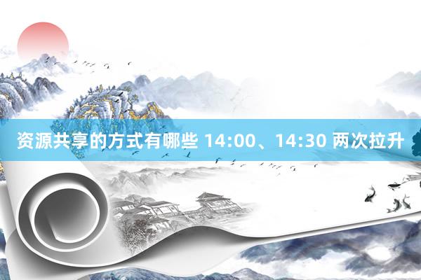 资源共享的方式有哪些 14:00、14:30 两次拉升