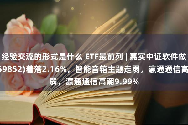 经验交流的形式是什么 ETF最前列 | 嘉实中证软件做事ETF(159852)着落2.16%，智能音箱主题走弱，瀛通通信高潮9.99%