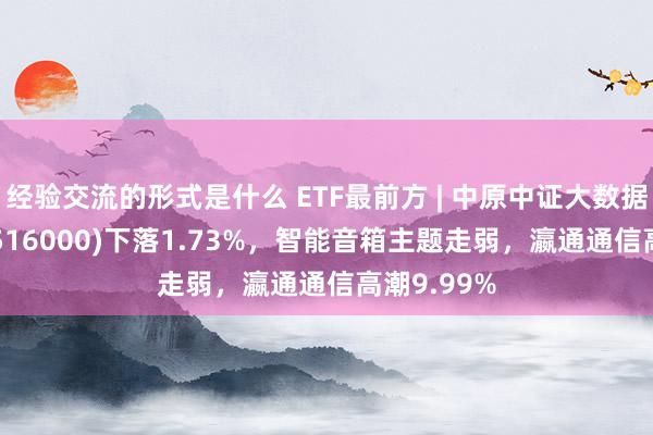 经验交流的形式是什么 ETF最前方 | 中原中证大数据产业ETF(516000)下落1.73%，智能音箱主题走弱，瀛通通信高潮9.99%