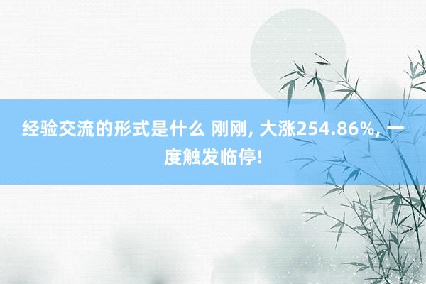 经验交流的形式是什么 刚刚, 大涨254.86%, 一度触发临停!