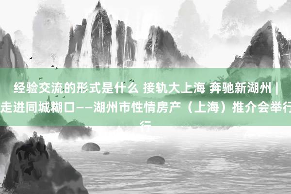 经验交流的形式是什么 接轨大上海 奔驰新湖州 | 走进同城糊口——湖州市性情房产（上海）推介会举行