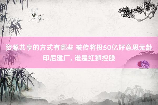 资源共享的方式有哪些 被传将投50亿好意思元赴印尼建厂, 谁是红狮控股