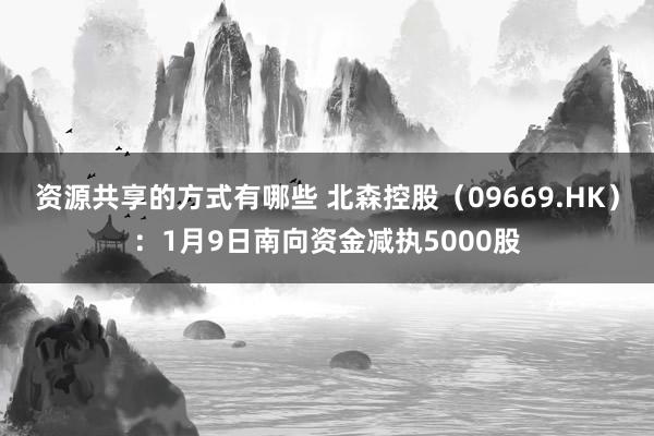 资源共享的方式有哪些 北森控股（09669.HK）：1月9日南向资金减执5000股