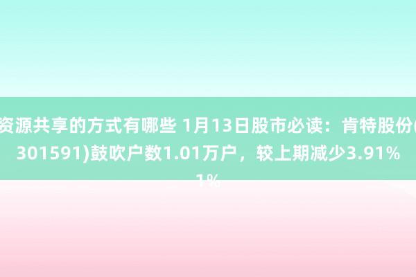 资源共享的方式有哪些 1月13日股市必读：肯特股份(301591)鼓吹户数1.01万户，较上期减少3.91%