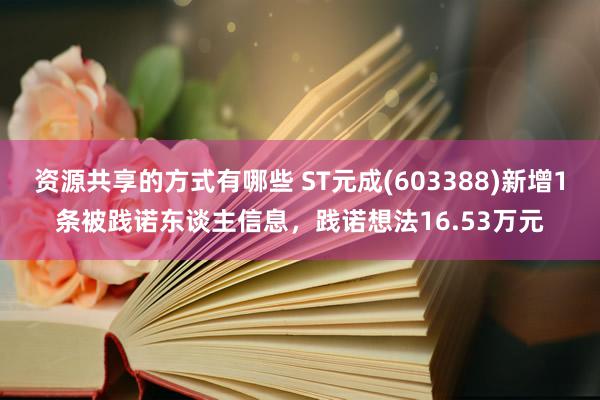 资源共享的方式有哪些 ST元成(603388)新增1条被践诺东谈主信息，践诺想法16.53万元