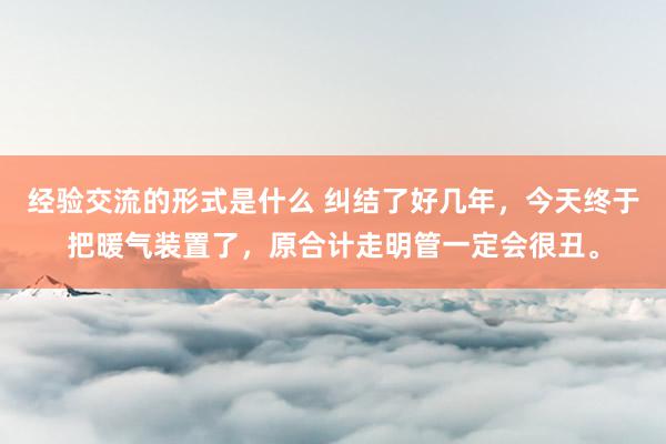 经验交流的形式是什么 纠结了好几年，今天终于把暖气装置了，原合计走明管一定会很丑。