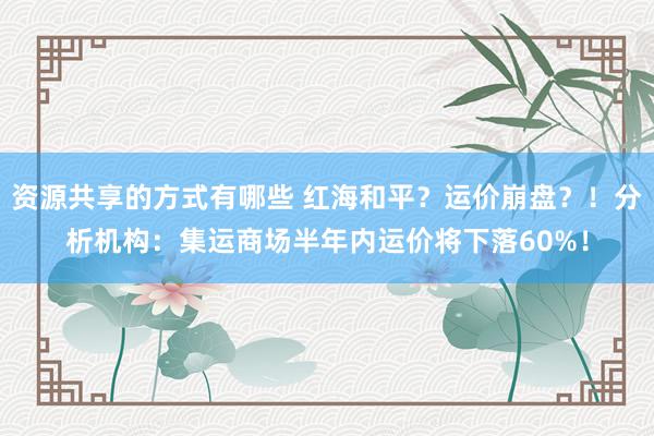 资源共享的方式有哪些 红海和平？运价崩盘？！分析机构：集运商场半年内运价将下落60%！