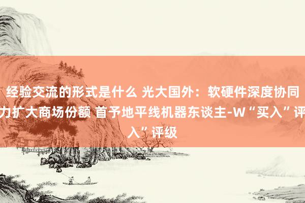 经验交流的形式是什么 光大国外：软硬件深度协同助力扩大商场份额 首予地平线机器东谈主-W“买入”评级