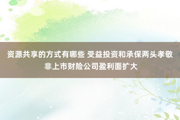 资源共享的方式有哪些 受益投资和承保两头孝敬 非上市财险公司盈利面扩大